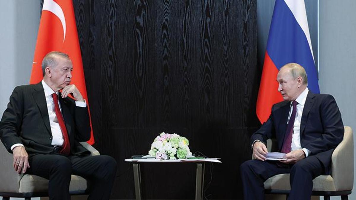 Cumhurbaşkanı Erdoğan, Putin ile görüşecek