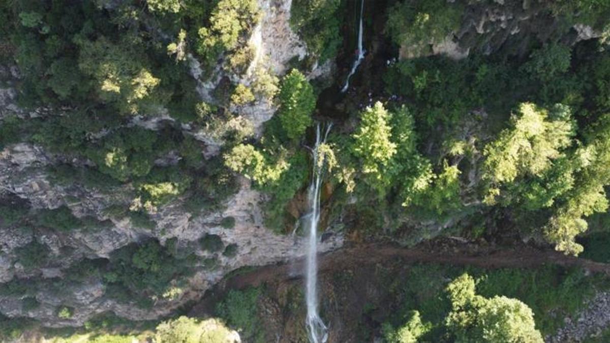 Hatay'da ağaçlar arasında keşfedildi! Görenler hayran kalıyor