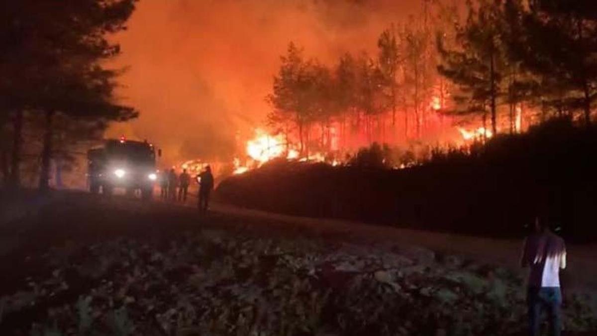 Marmaris'te orman yangını kontrol altına alındı!