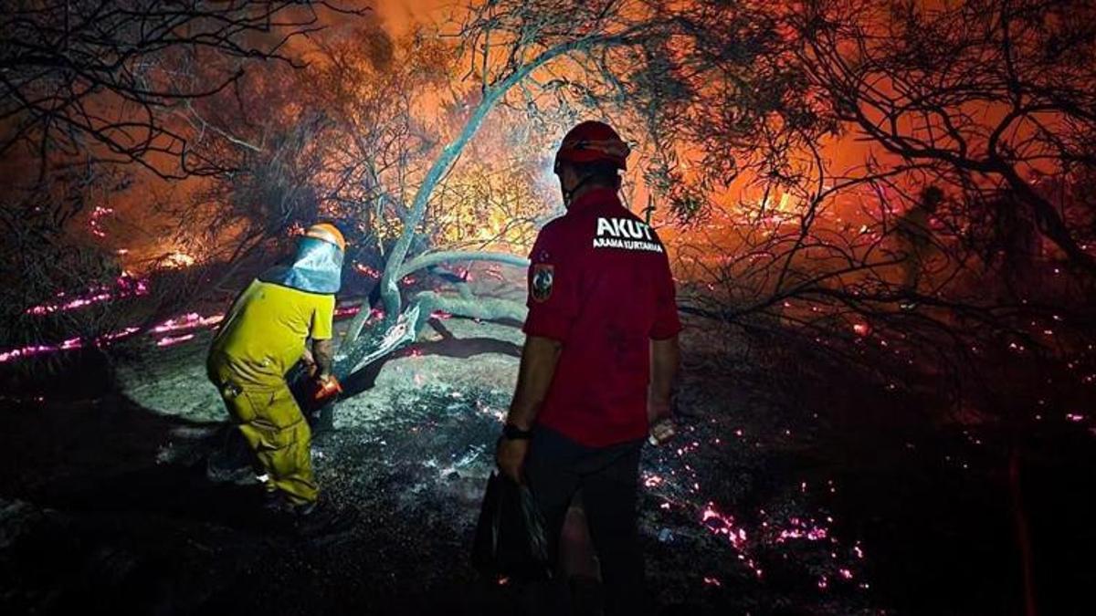Antalya'daki orman yangınında 15 hektar zarar gördü