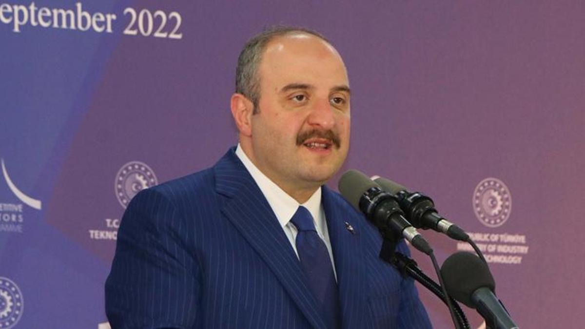 Bakan Varank: Anayasa Mahkememiz karar vermiş değil