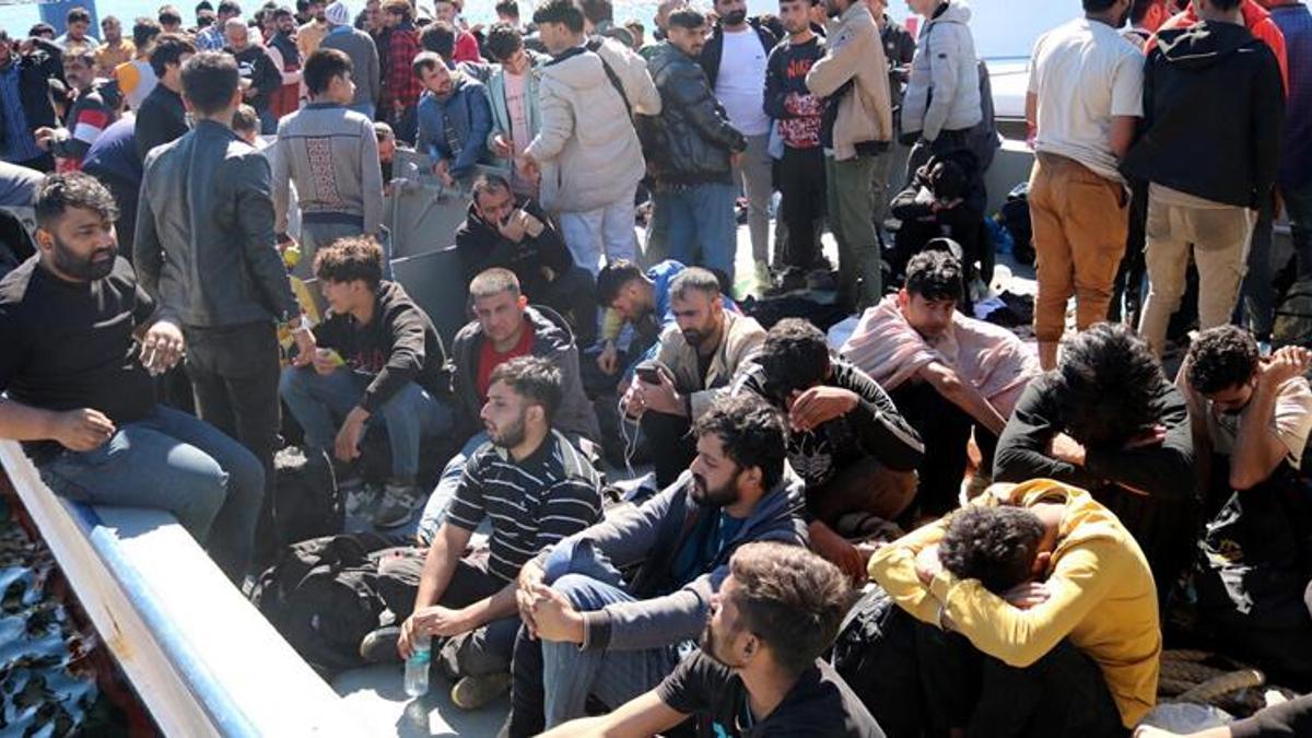 Foça'da, balıkçı teknesinde 231 kaçak göçmen yakalandı