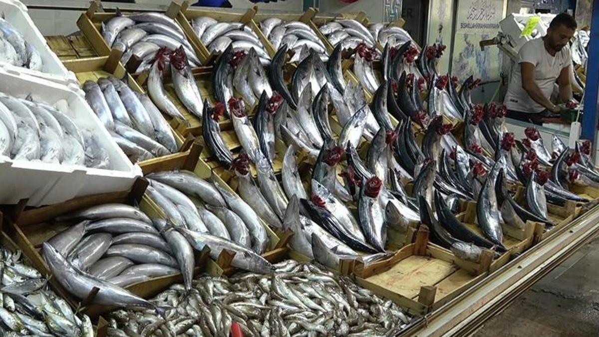 Balık fiyatları ile ilgili yeni açıklama! Palamut 20 liraya geriledi