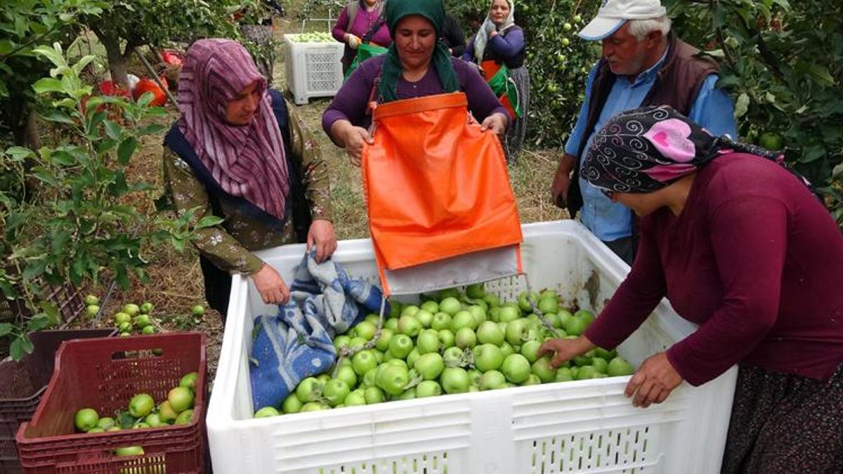 Şehirden köye göç başlattı, işsizliği bitirdi! Türkiye’nin en büyüğü