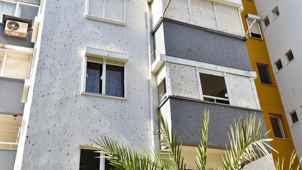 Sitede yaşayanların 'yarasa' çaresizliği! Her yere pislediler