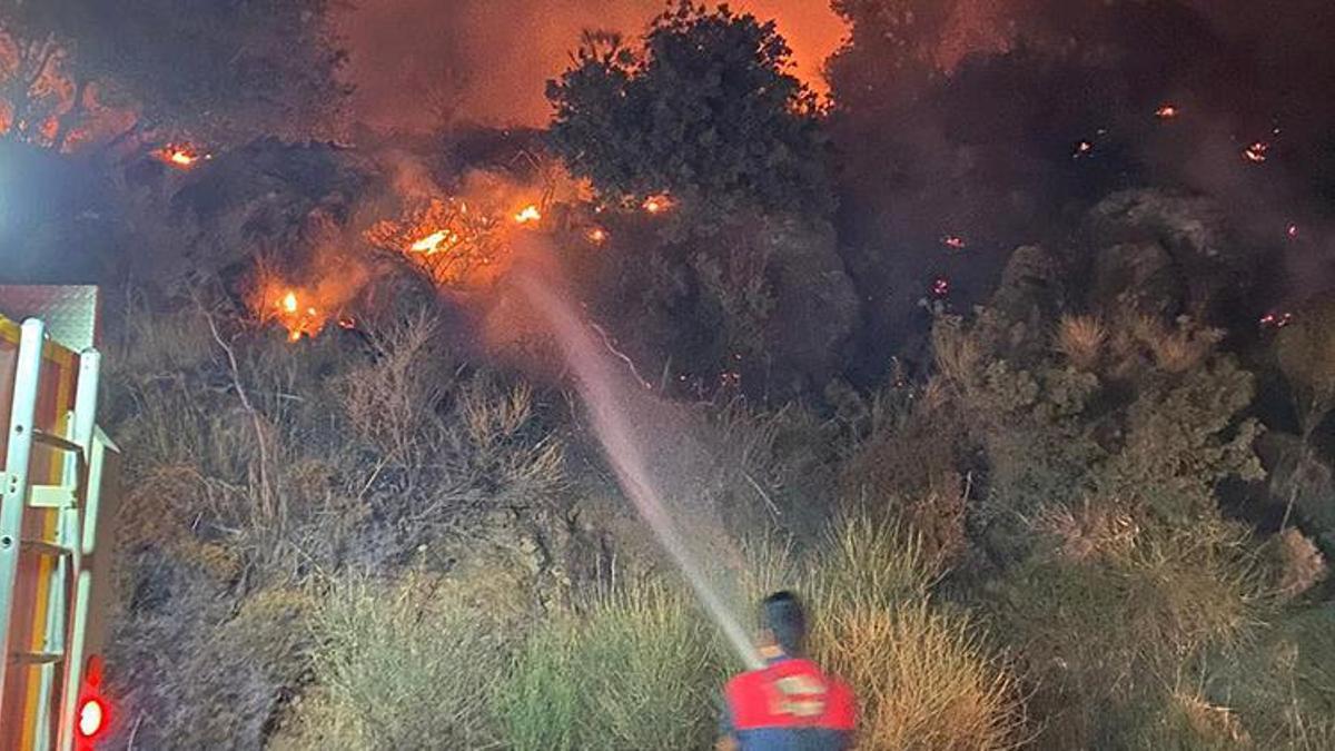 Bodrum'da makilik yangını; 5 dönüm zarar gördü