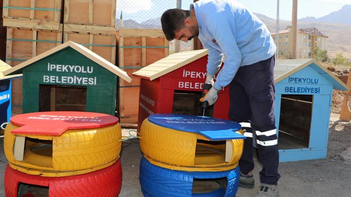Para kasaları ile araç lastiklerinden sokak hayvanlarına yuva