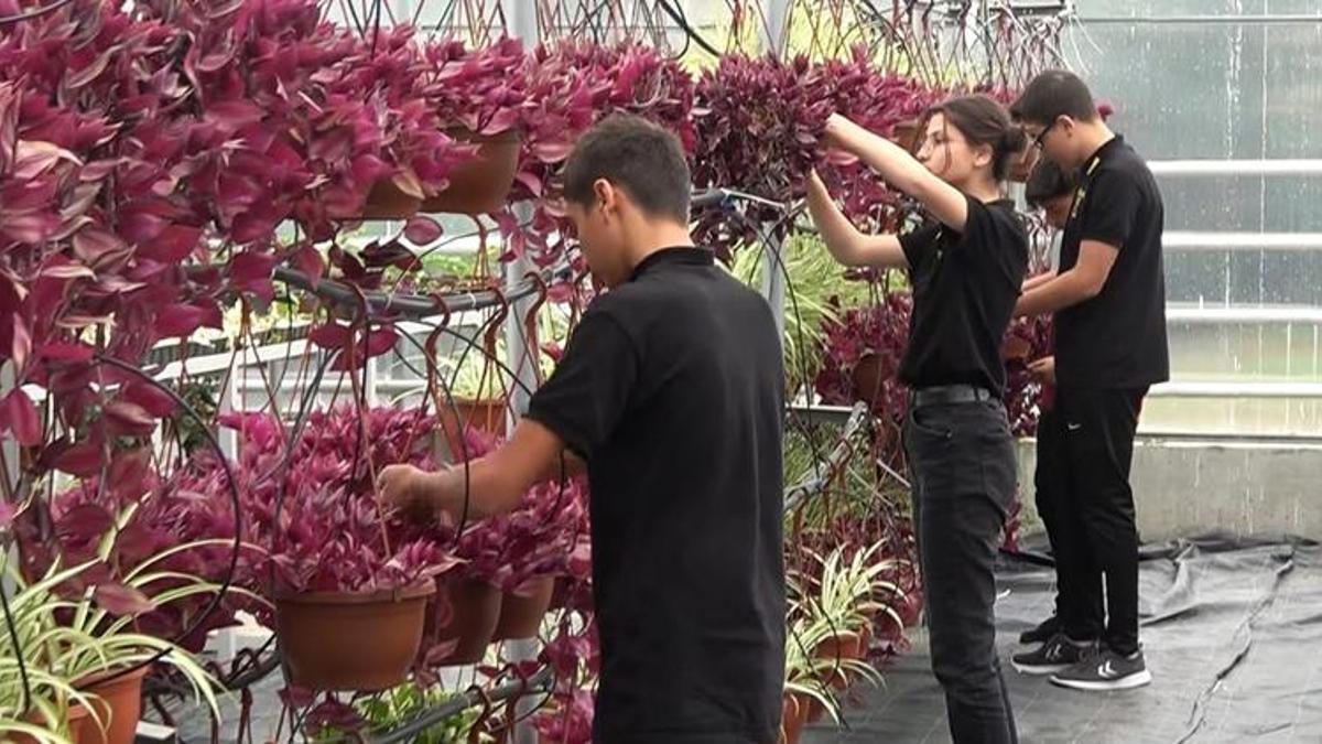 Kazançları 1 milyon 102 bin liraya ulaştı! Liselilerin geliri dudak uçuklattı