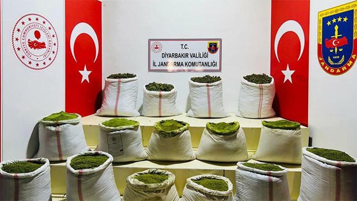 Eren Abluka Sonbahar-Kış 2 Operasyonu'nda 52 bin kök kenevir ele geçirildi