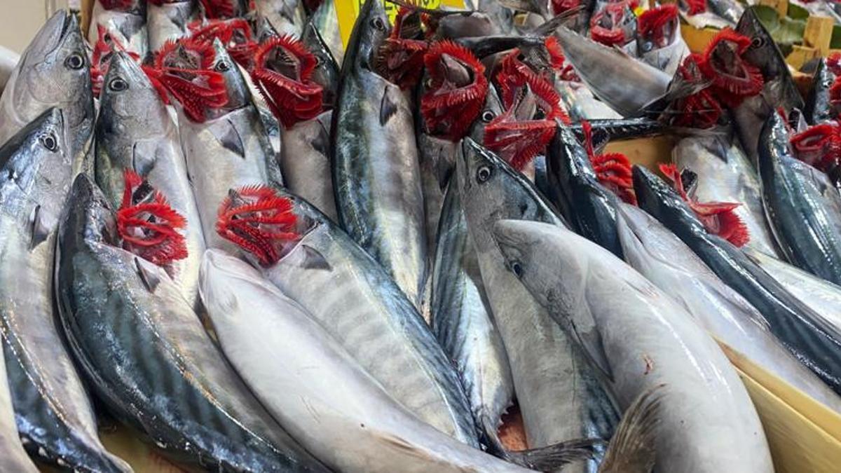Balık fiyatlarında flaş gelişme! Kilosu 320 lira