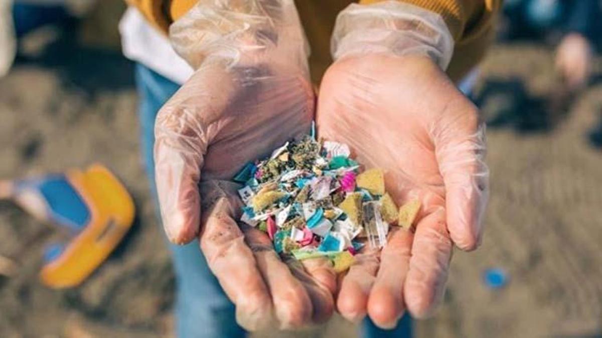 Mikroplastik nedir, canlı yaşamına etkisi nelerdir? Anne sütünde mikroplastik görülmesi ne demek?