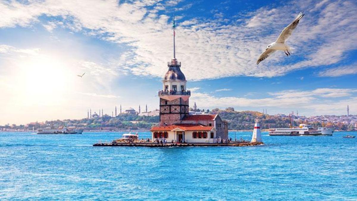 Marmara Denizi için tehlike çanları çalıyor: "İstilacı türler kapıda"