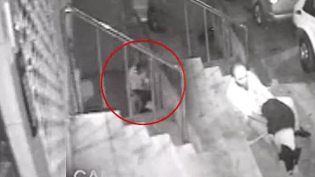 Nilayım adlı köpeğe tecavüz iddiası! Kaşını alarak kurtulmaya çalıştı