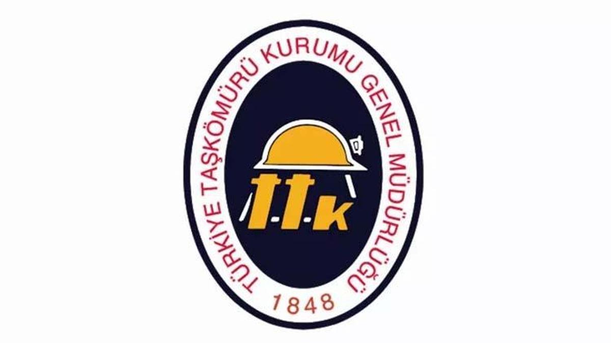 Hüseyin Bilgiçoğlu kimdir? Türkiye Taş Kömürü Kurumu (TTK) Genel Müdürlüğü Yönetim Kurulu üyeliğine atanan Hüseyin Bilgiçoğlu hangi görevlerde yer aldı?