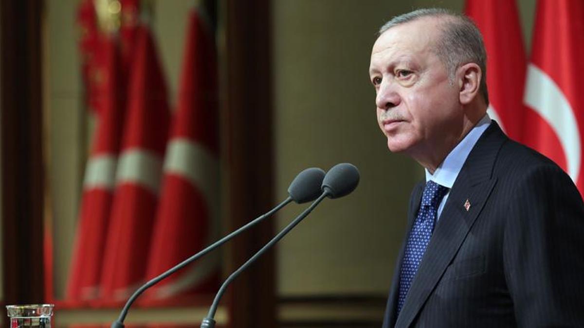 Cumhurbaşkanı Erdoğan, Somali Cumhurbaşkanı Mahmud ile görüştü