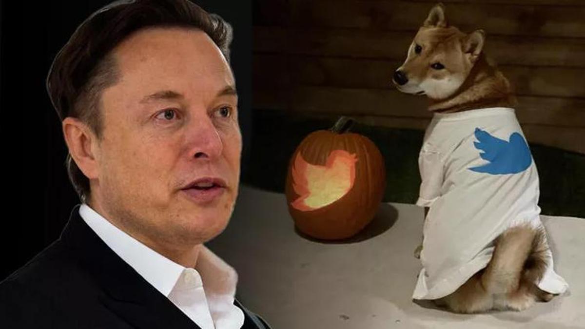 Elon Musk'tan Dogecoin paylaşımı! Yükseliş başladı