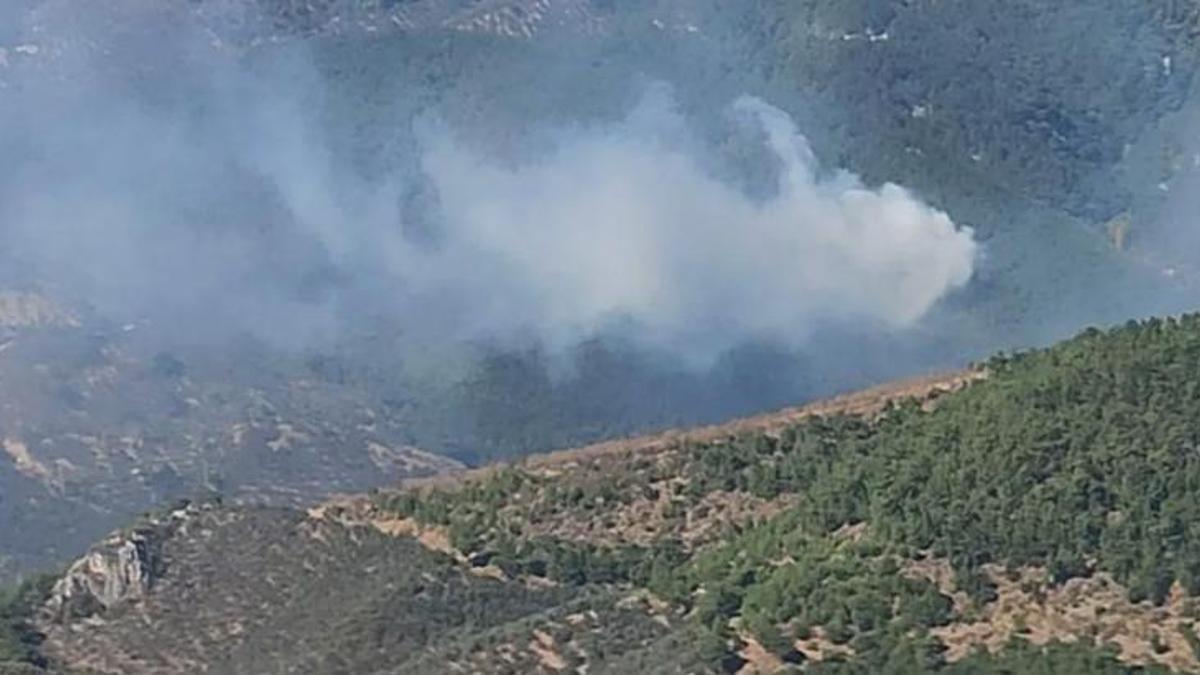 Kazdağlarında çokan orman yangını 3 saatte kontrol altına alındı