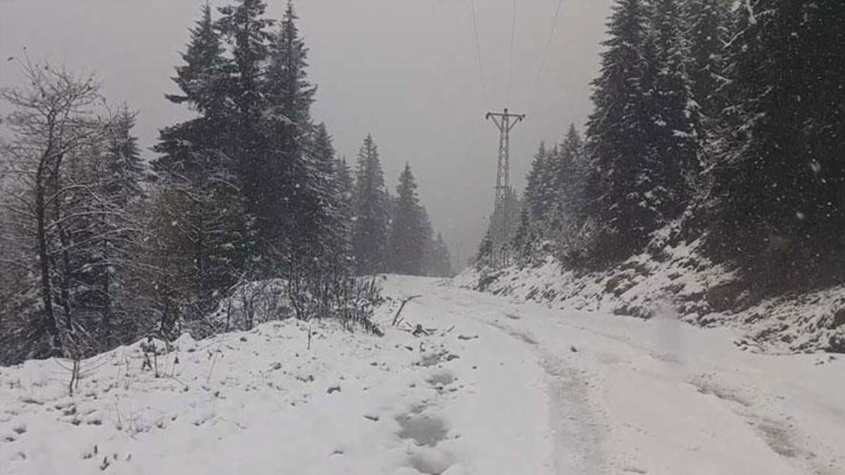 Rize'nin yükseklerinde kar yağışı; yaylacılar dönüşe geçti
