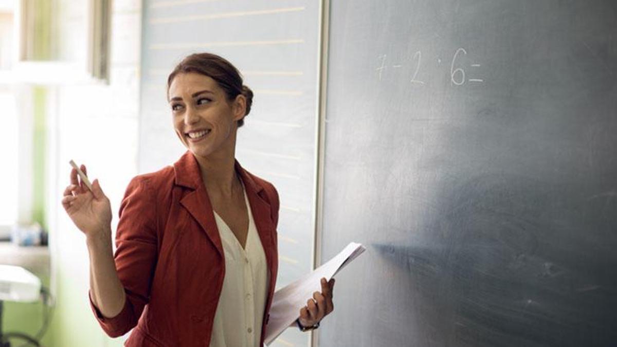 MEB duyurdu! Öğretmenlerin mesleki çalışma programı belli oldu! Öğretmen seminerleri online mi?