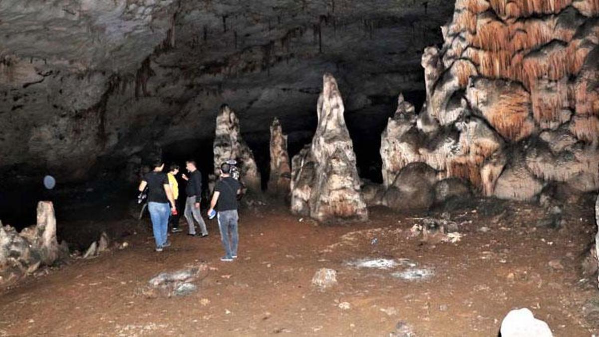 Diyarbakır'da yol çalışmasında bulunan mağarada yeni bir böcek türü ortaya çıktı