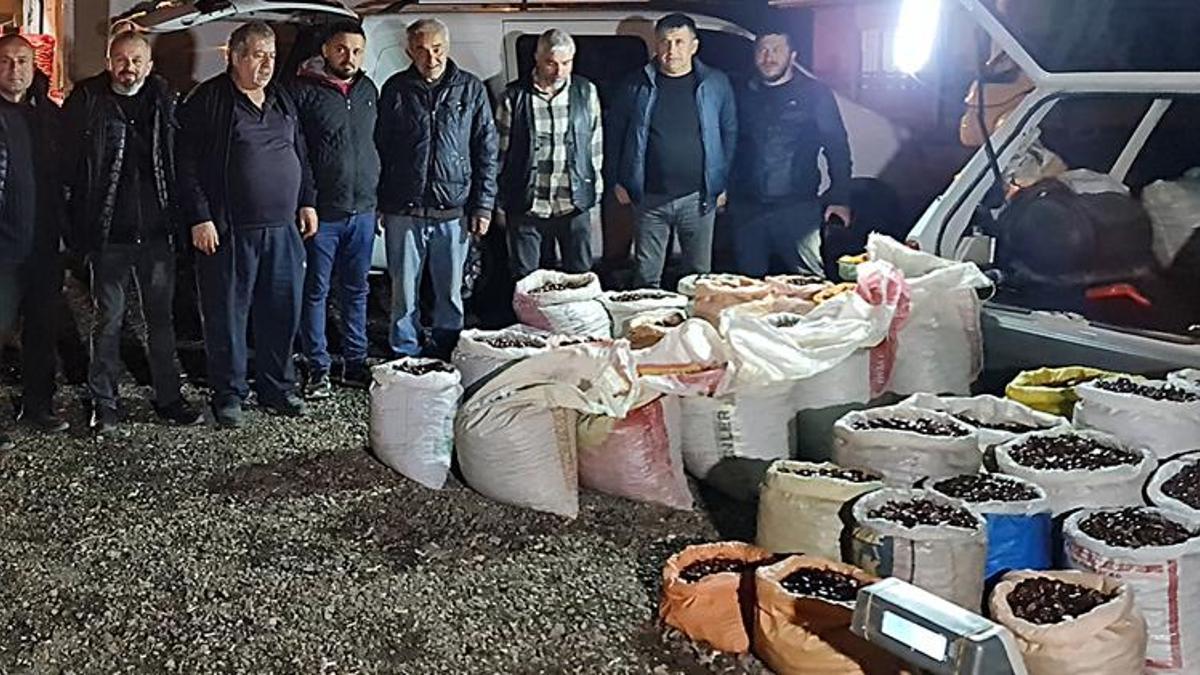 'Düzce kuzusu' pazara indi! Kilo fiyatı belli oldu
