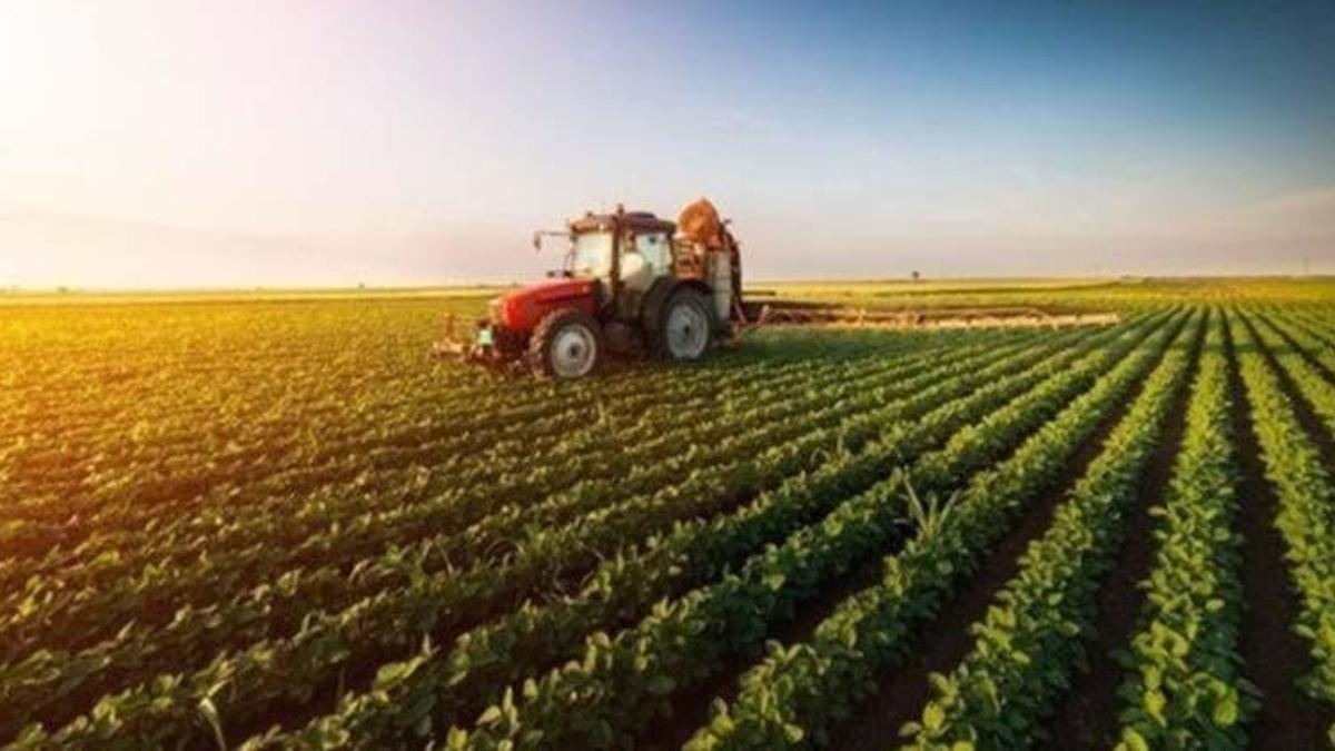 Tarımsal destek ödemeleri yattı mı? Tarımsal destek ödemeleri sorgulama ekranı