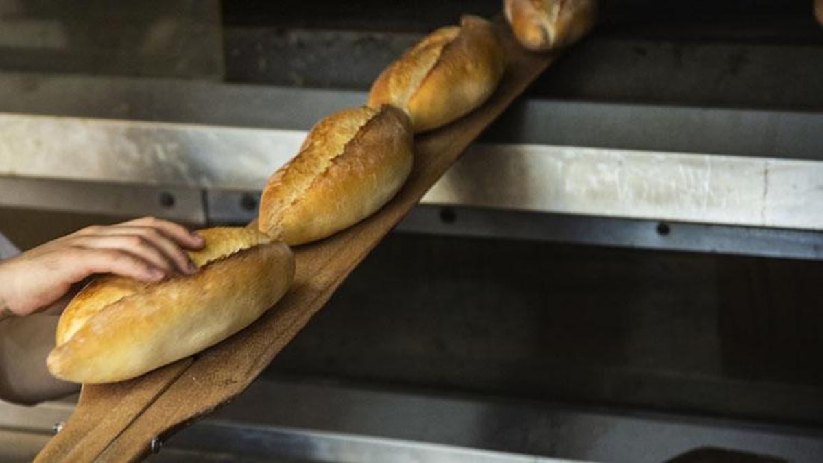 Ekmek zammı var mı? Ekmeğe zam gelecek mi, ekmek ne kadar olacak?