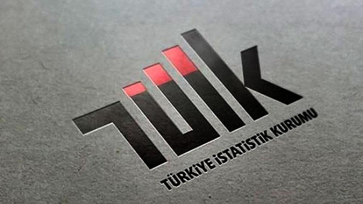 TÜİK Başkan Yardımcısı Fatih Şahin görevden alındı
