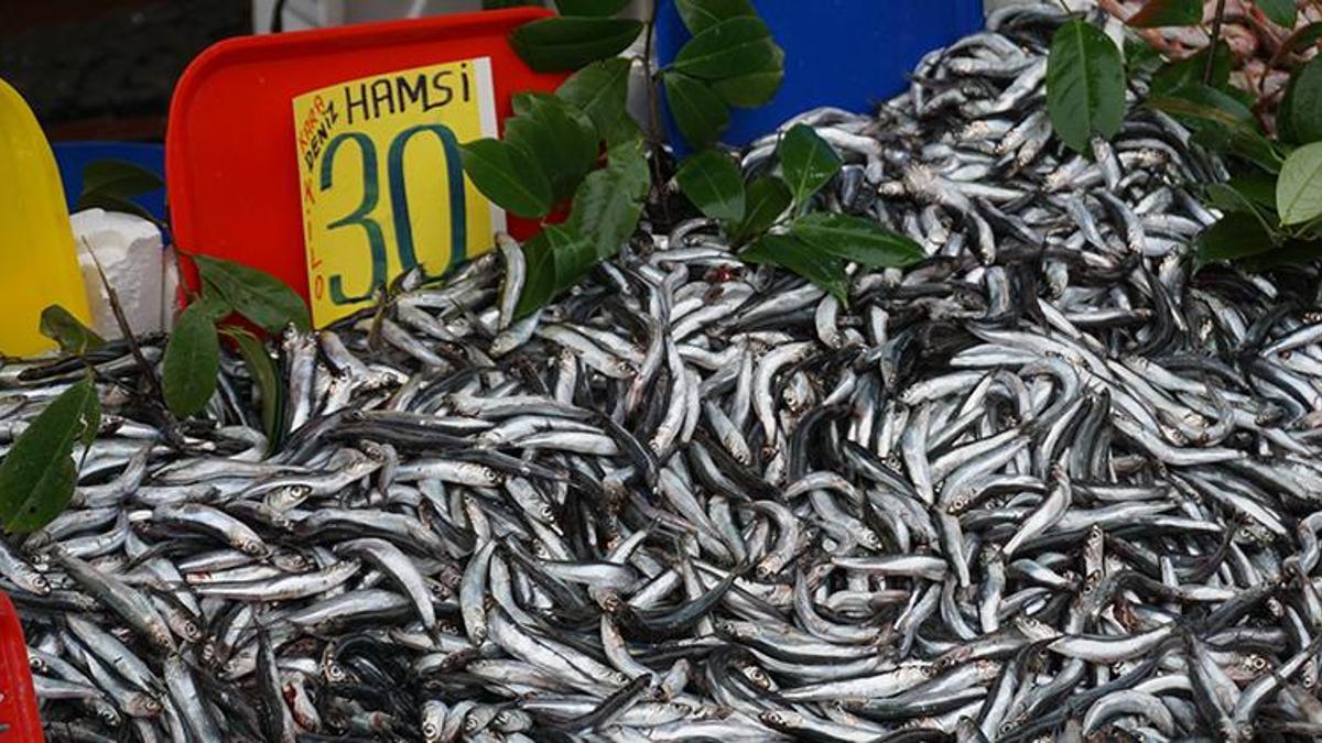 Hamsi fiyatları ucuzladı! 30 liraya düştü