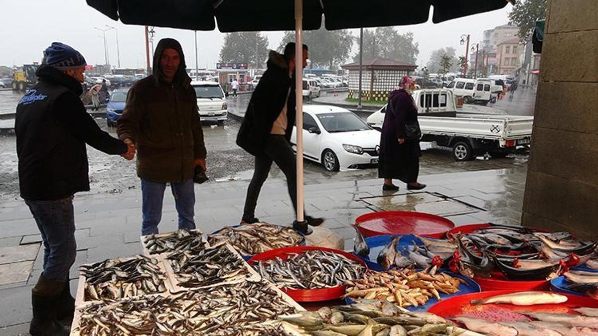 Hamsinin fiyatı yüzde 50 düştü! Bugün itibarıyla değişti