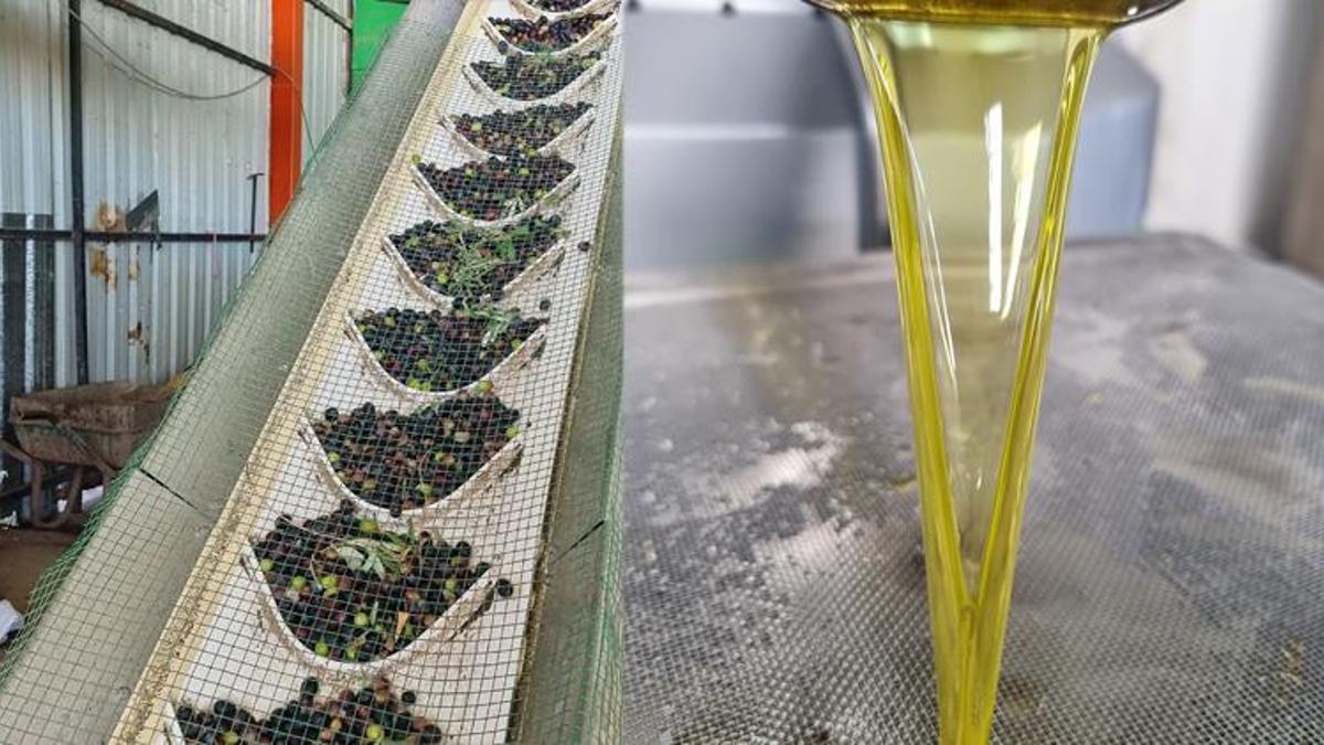 Litresi 100 lira! 'Fiyatlar yüzde 100 arttı'