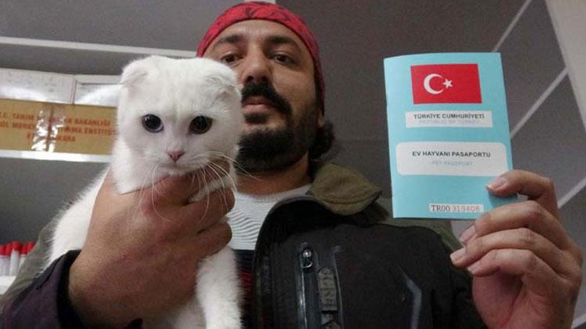 Kedi ve köpek sahipleri dikkat, yasal süre 31 Aralık’ta doluyor