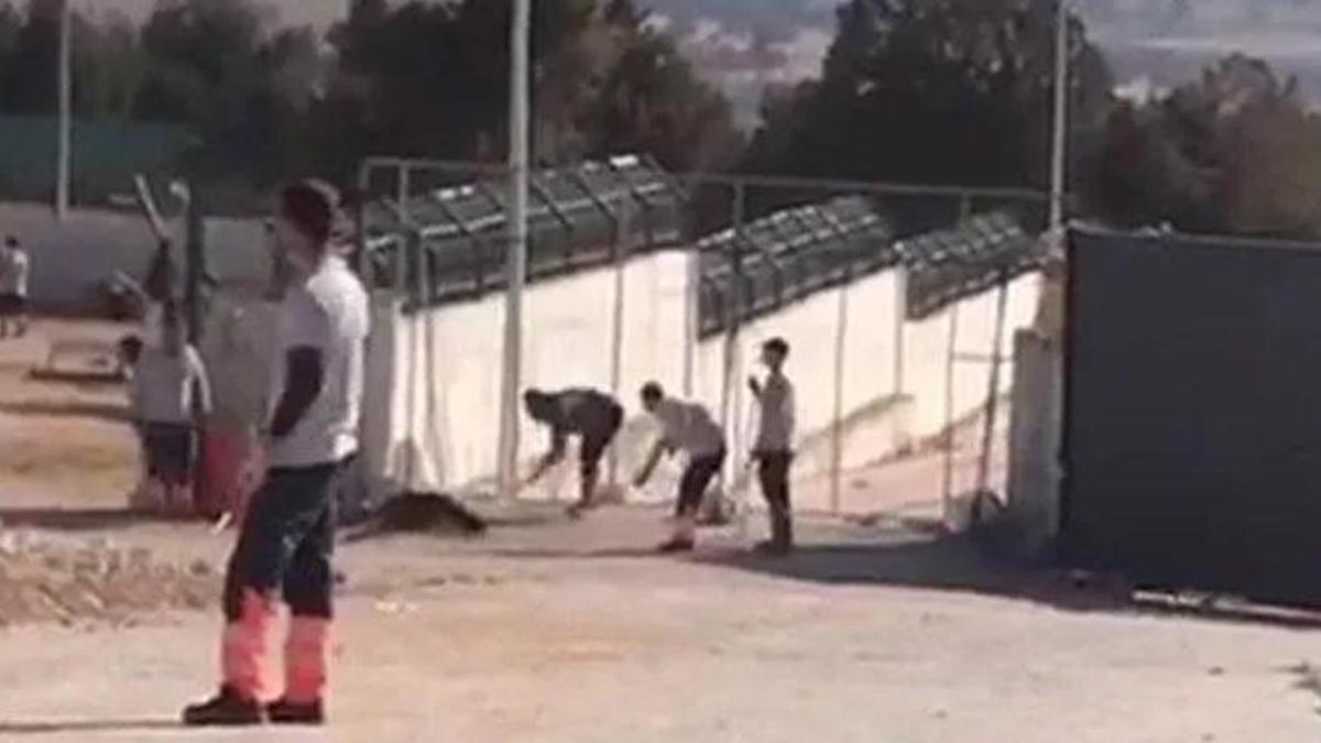 Konya'da hayvan bakımevindeki infial yaratan görüntülerle ilgili 2 gözaltı