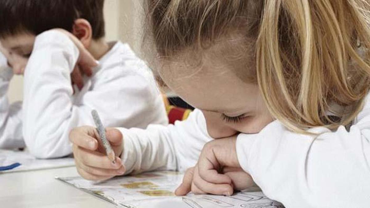 Pazartesi Düzce'de okullar tatil mi, Düzce'de okullar ne zaman açılacak? Bakan açıkladı!