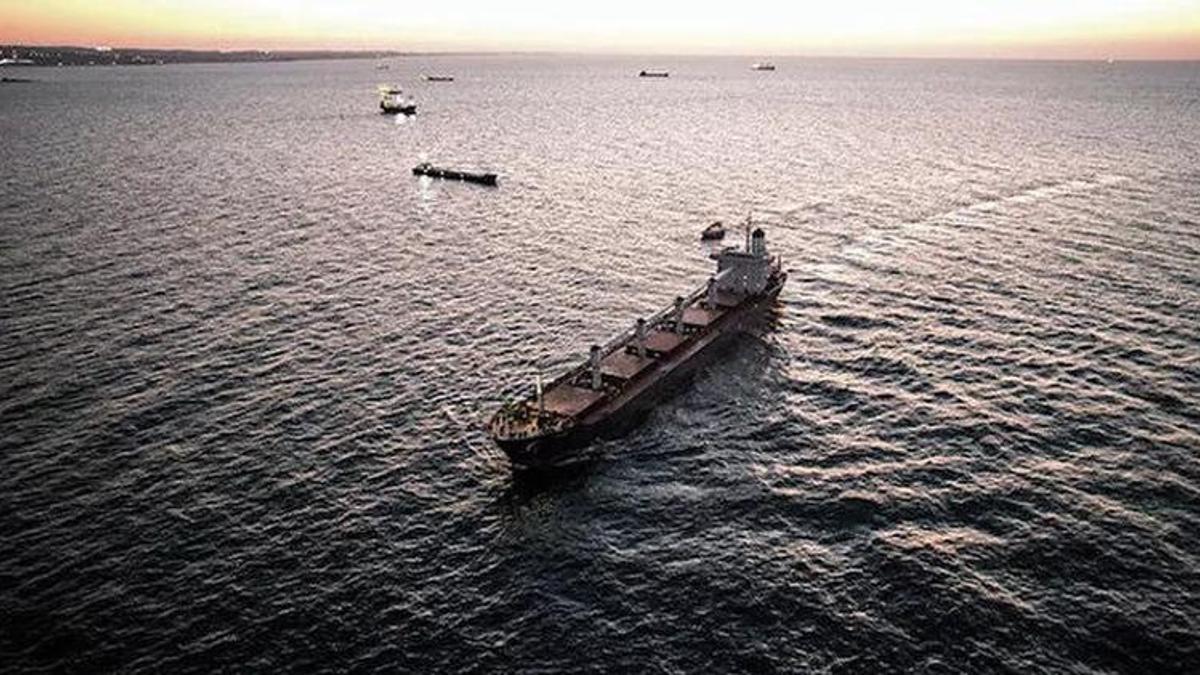 Tahıl koridorundan 501 gemi ile 12 milyon tondan fazla tahıl taşındı