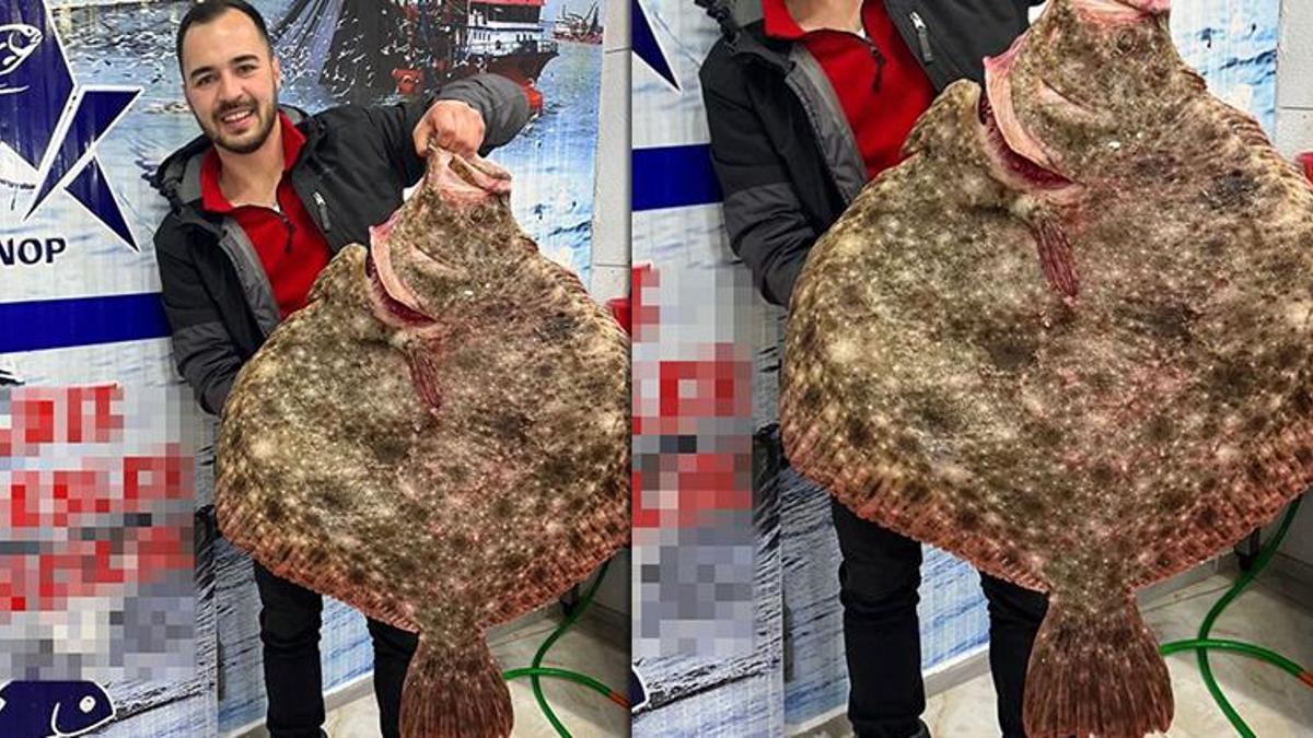 6 bin TL'ye aldı! Karadeniz'de avlandı, İstanbul'a satıldı