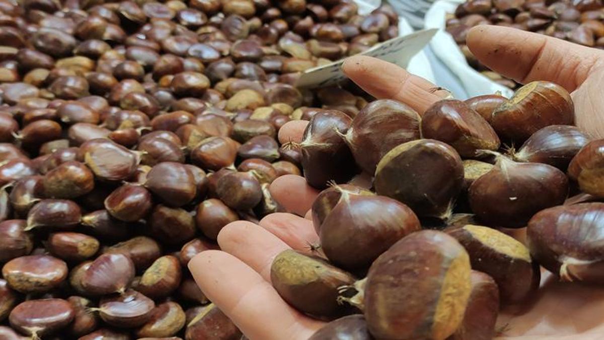 Kestane fiyatları 70 lira oldu