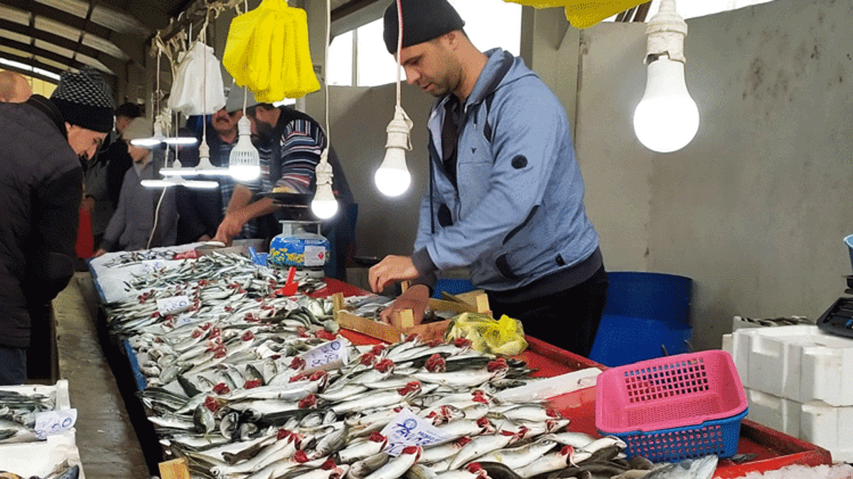 Balık bollaştı, fiyatlar ucuzladı