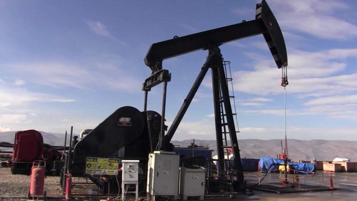 Petrol müjdesi! TPAO duyurdu, kuyu sayısı artıyor