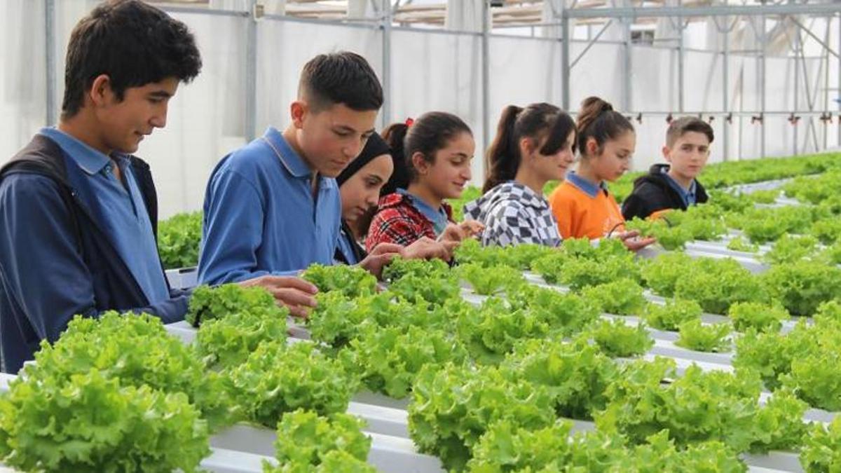 Ziraat Fakültesi gibi lise: Öğreniyor, üretiyor ve kazanıyorlar