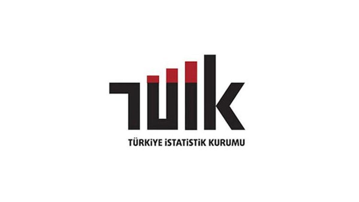 Türkiye İstatistik Kurumu (TÜİK) personel alacak! İşte Kariyer Kapısı başvuru ekranı!