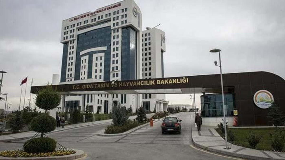 Tarım ve Orman Bakanlığı 1200 sözleşmeli personel alımı ne zaman? 1200 personel alımı başvuru şartları neler, KPSS şartı var mı, hangi branşlarda alım yapılacak?