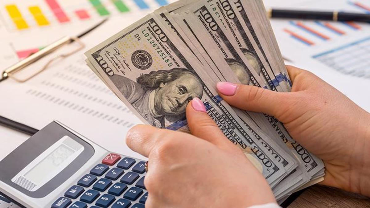 Yıl sonu dolar ne olacak? Merkez Bankası piyasa katılımcıları anketini yayımladı