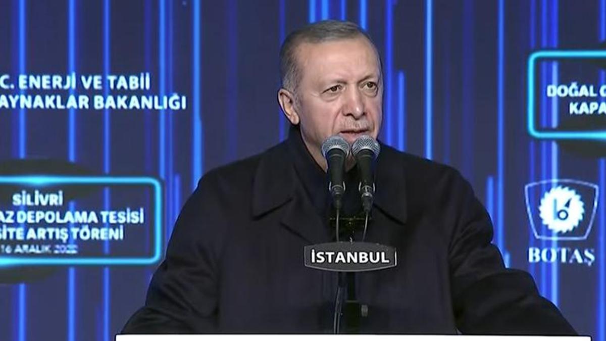 Cumhurbaşkanı Erdoğan 'Putin'le görüştük' dedi ve açıkladı: Enerjide merkez olacak
