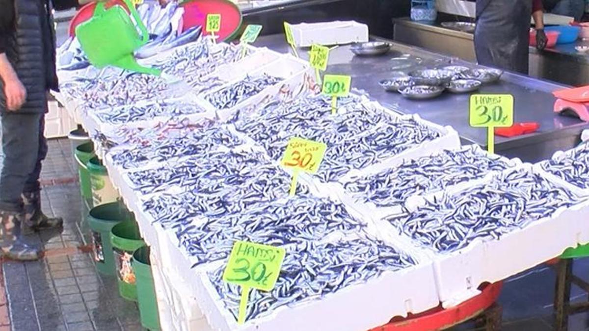 Karadeniz'de palamudun yerini hamsi aldı! Kilo fiyatı belli oldu