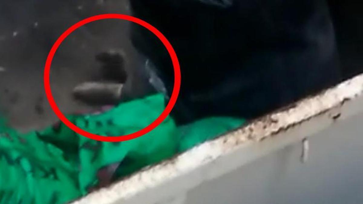 Köpeğin üzerine moloz dökülmesine çifte soruşturma