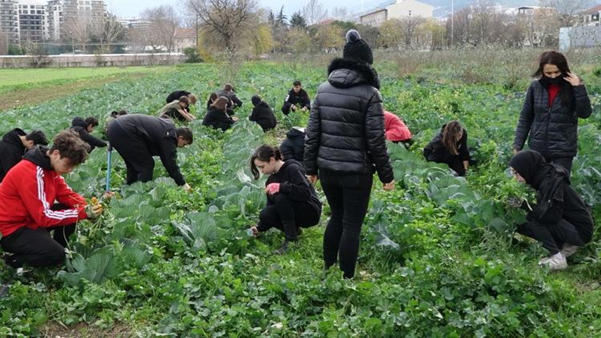 Fabrika gibi okul; 2023 ciro hedefi 10 milyon lira