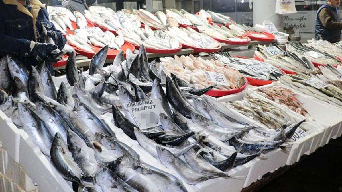 Hamsi sezonun en yüksek fiyatını gördü! Tezgahtaki fiyatı gören bir daha bakıyor