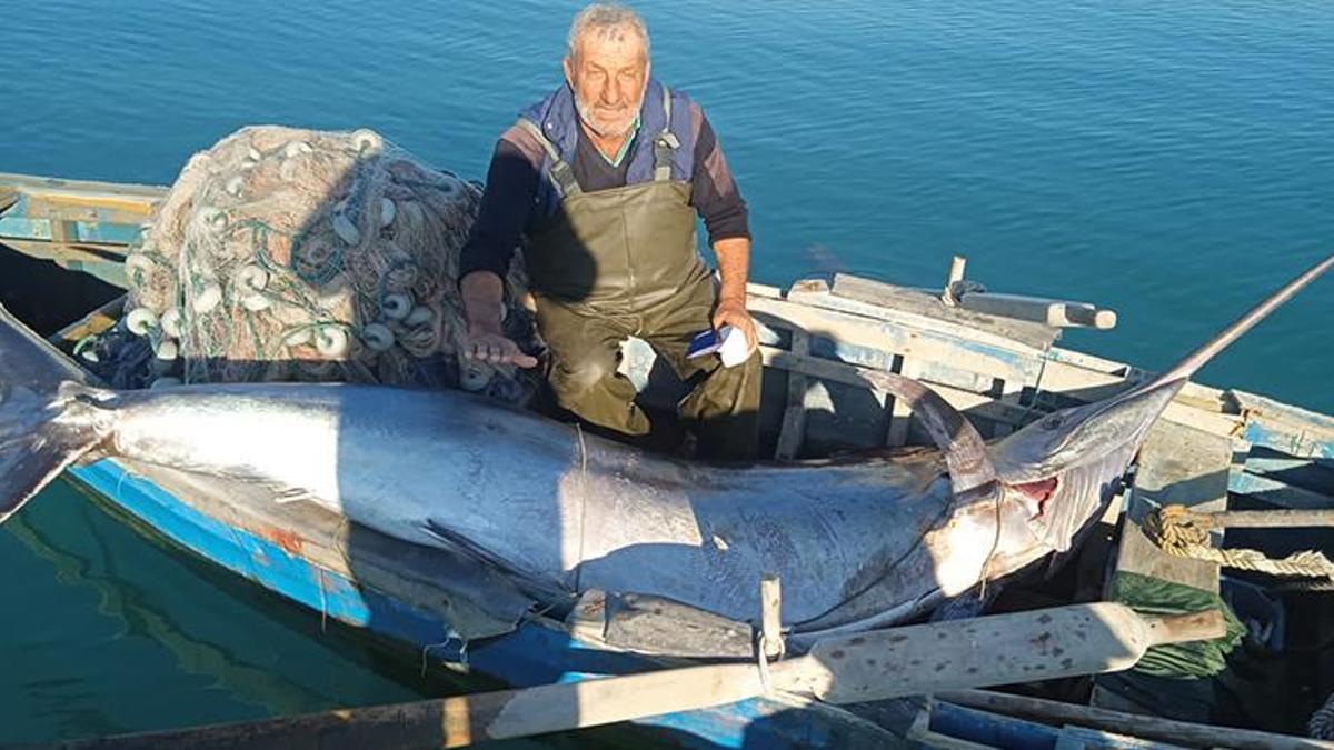 Türkiye'de ilk kez yakalandı! Tam 274 kilo ağırlığında: 'Müthiş kıymetli bir balık'