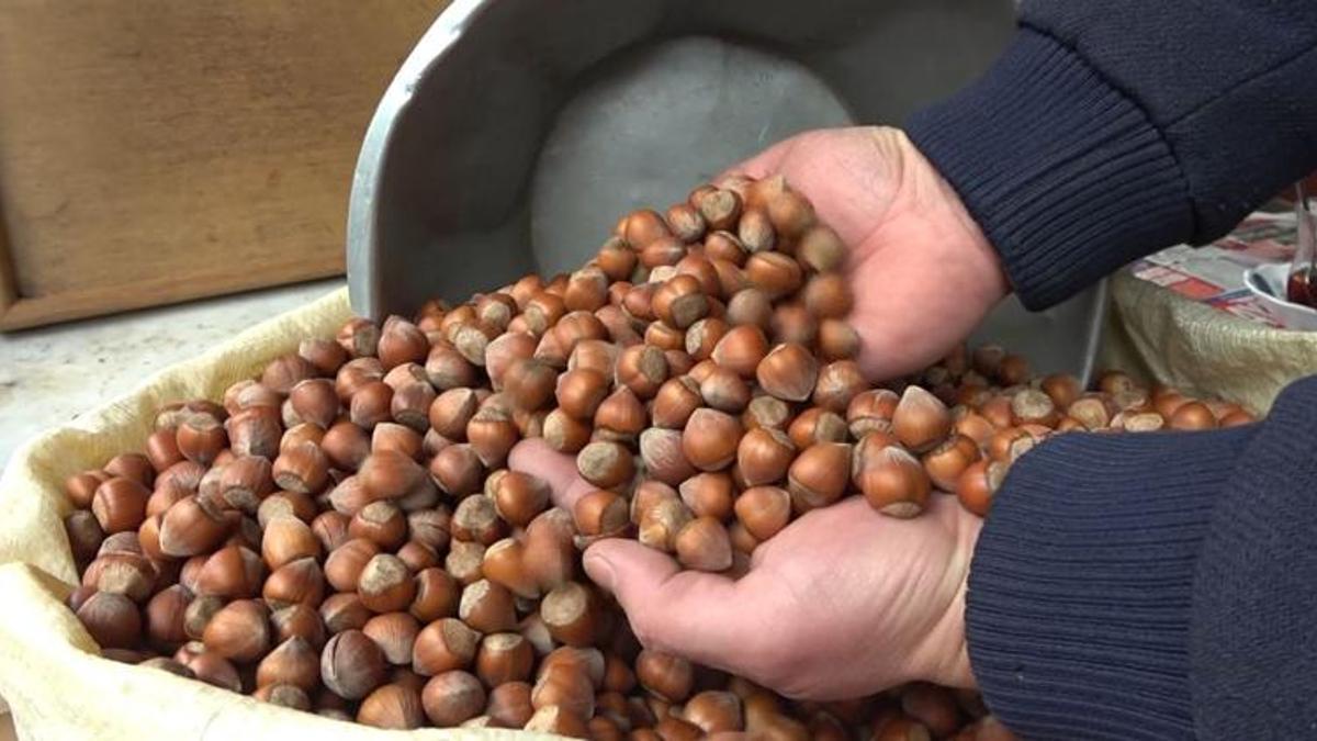 Yeni yılda fındık fiyatı yükselişini sürdürüyor